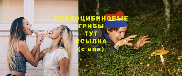 2c-b Вяземский