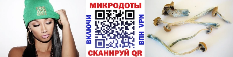 Купить где  Тавда  Галлюциногенные грибы Psilocybine cubensis 